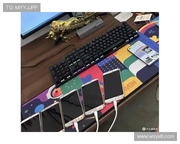 闲鱼上游戏本价格低得离谱是否存在安全隐患和质量问题